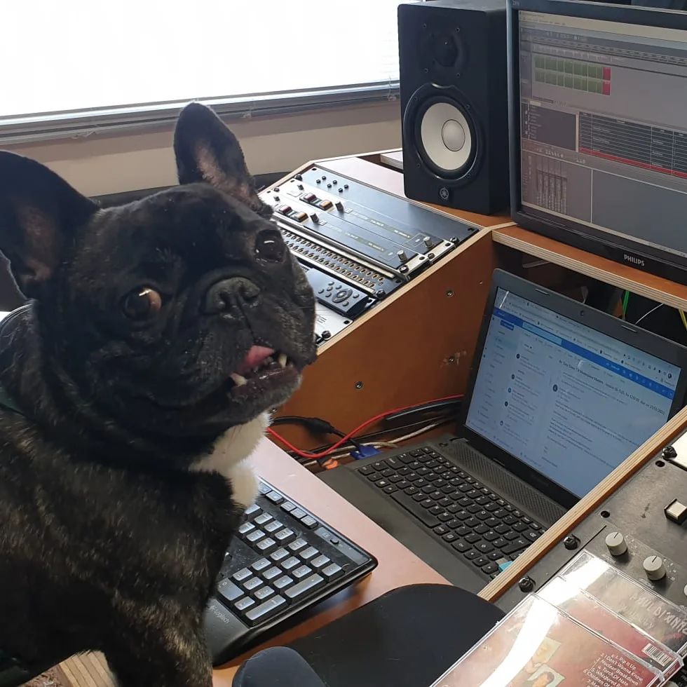 Prize for best caption. I'm guessing it will have something to do with woofers.